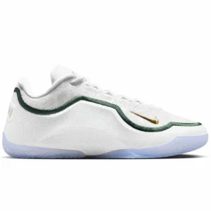 LeBron XXIII From This Point Forward
